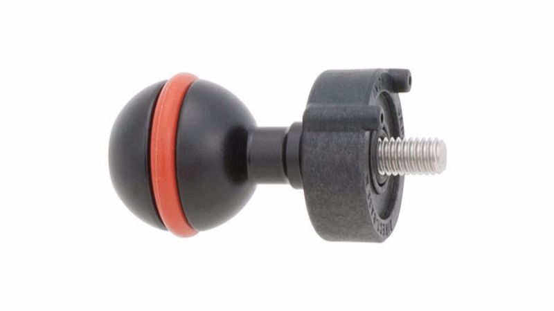 クリックすると拡大します