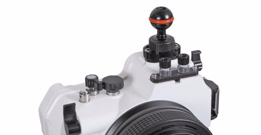 クリックすると拡大します