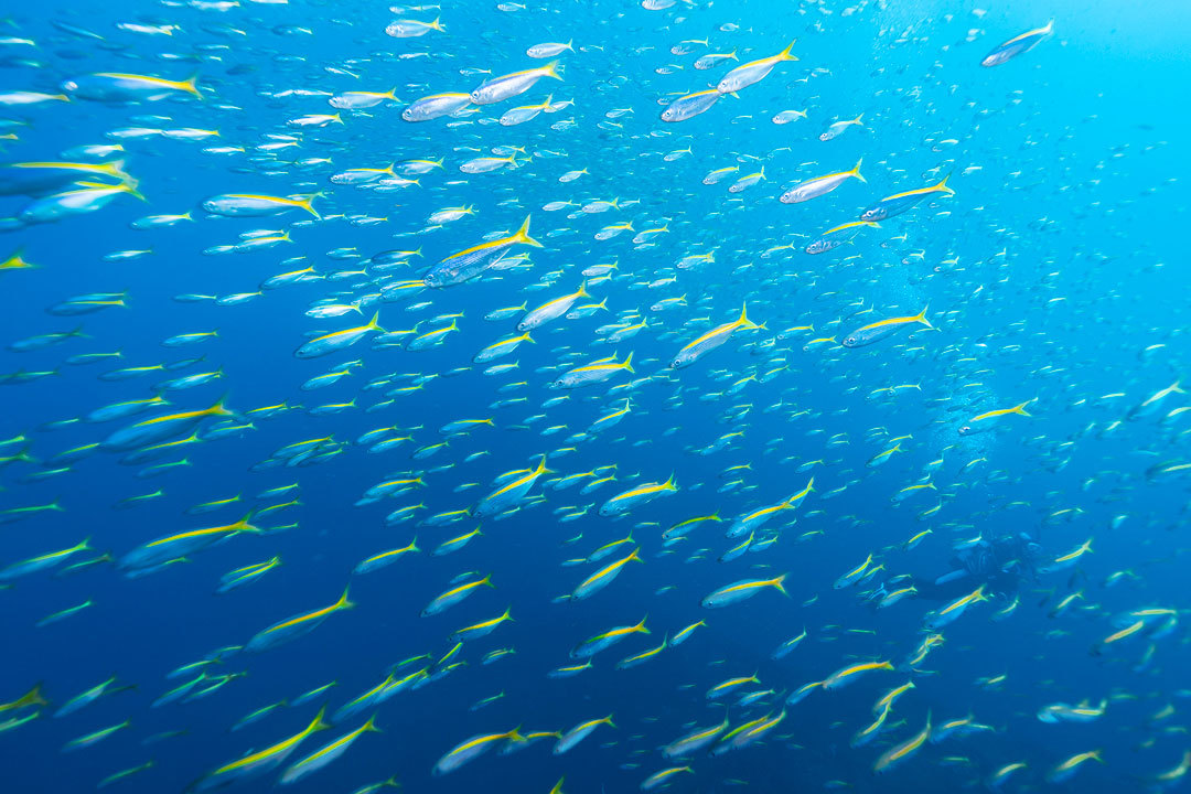 14mm、Ｆ5.6、1/40、ISO200