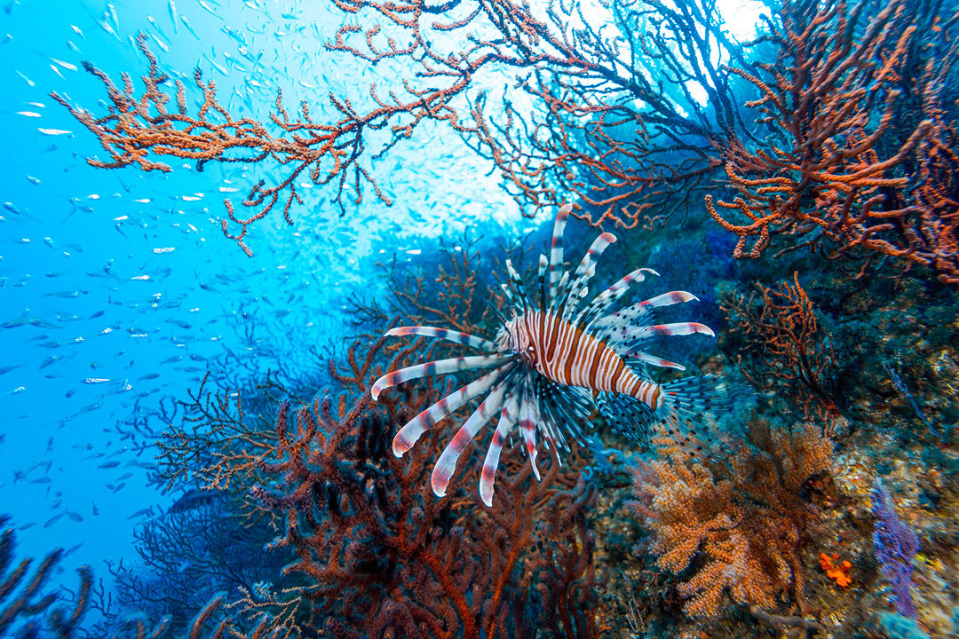 14mm、F5.6、1/25、ISO400