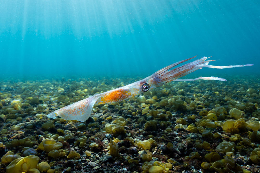 26mm、F13、1/250、ISO800