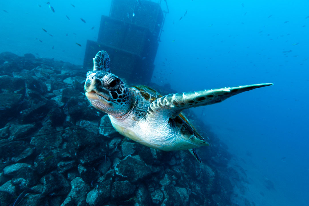 14mm、F10、1/80、ISO800