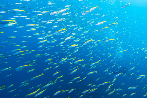 14mm、Ｆ5.6、1/40、ISO200