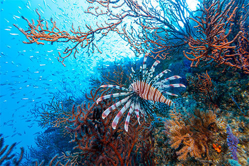 14mm、F5.6、1/25、ISO400