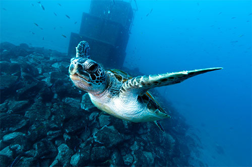 14mm、F10、1/80、ISO800