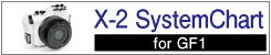 X-2 for GF1 System Chart