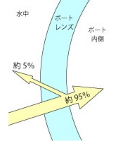 マルチコート無し