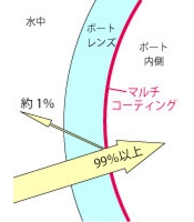 マルチコートあり