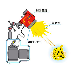 ストロボの発光を調光センサーがリアルタイムに測光し、適正露出になったところで、ストロボの発光を停止させる