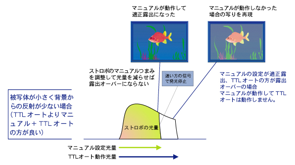 動作説明