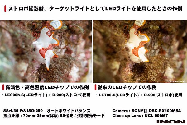 高演色ライトと従来のライトの比較