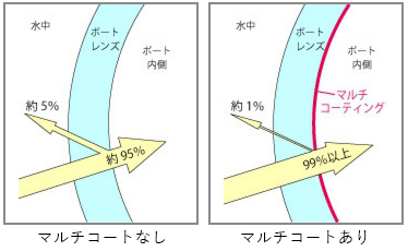 比較画像