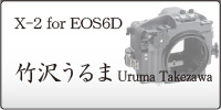 X-2 for EOS6D UrumaTakezawa