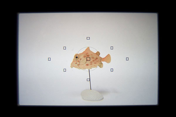 ストレート(45°)ビューファインダー使用イメージ