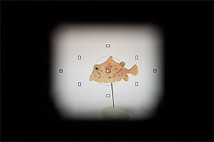 ファインダーウィンドウ使用イメージ