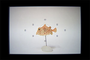 ストレート(45°)ビューファインダー使用イメージ