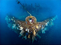 UWL-95S XD + ドームレンズユニットIIIG