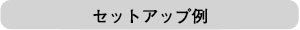 セットアップ例